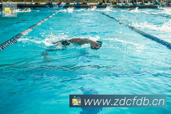 雅博app官网平台生态图