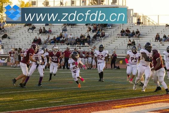 雅博app官网APP 封面图